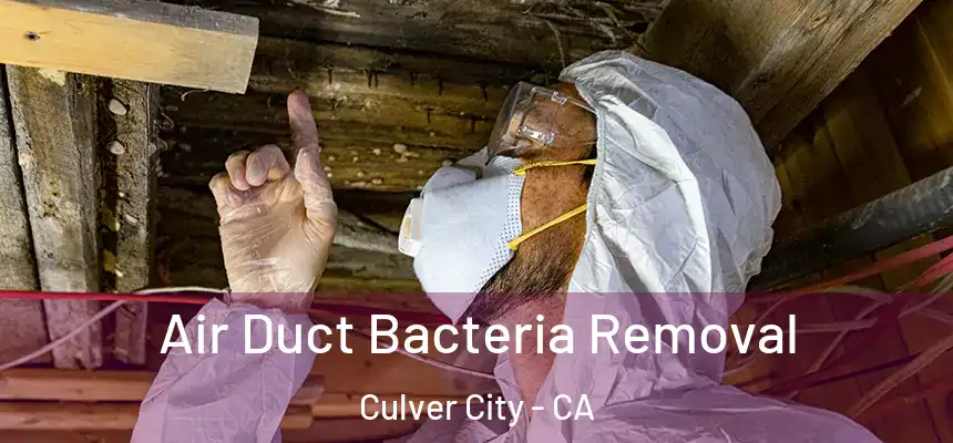  Air Duct Bacteria Removal Culver City - CA