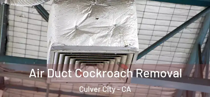  Air Duct Cockroach Removal Culver City - CA