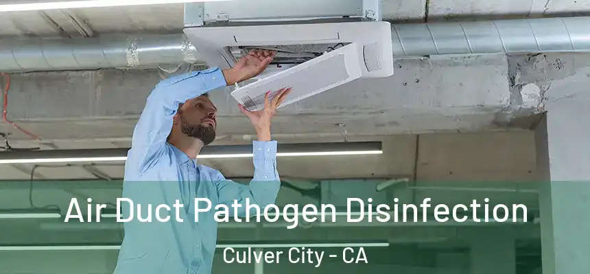  Air Duct Pathogen Disinfection Culver City - CA