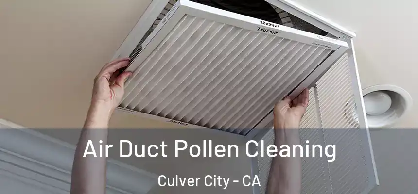  Air Duct Pollen Cleaning Culver City - CA
