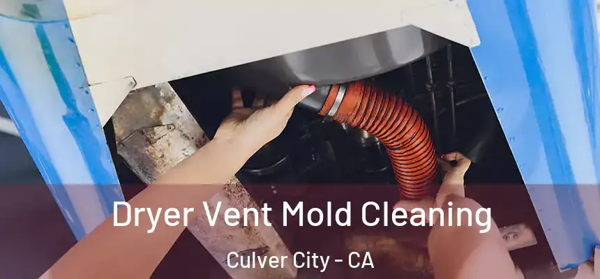 Dryer Vent Mold Cleaning Culver City - CA