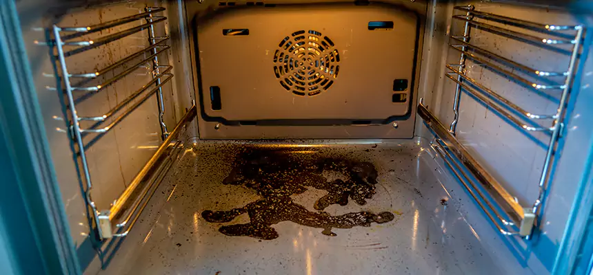 Our Dryer Vent Mold Cleaning Services in Culver City, CA