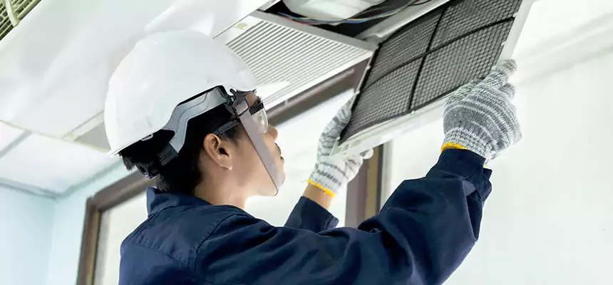 Our Mold & Mildew Removal from Air Ducts Services in Culver City, CA