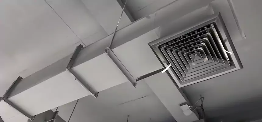 Our Pest Removal From Ducts Services in Culver City, CA