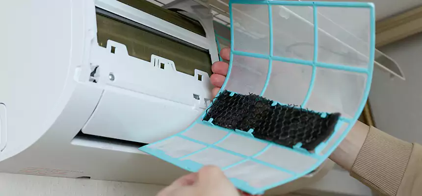 Gentle Ductwork Odor-Control Pet Dander Duct Cleaning in Culver City, CA