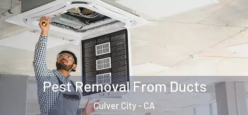  Pest Removal From Ducts Culver City - CA
