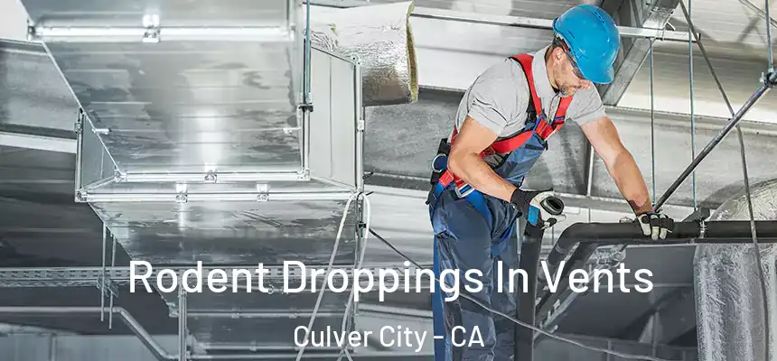 Rodent Droppings In Vents Culver City - CA