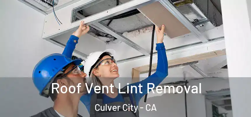  Roof Vent Lint Removal Culver City - CA