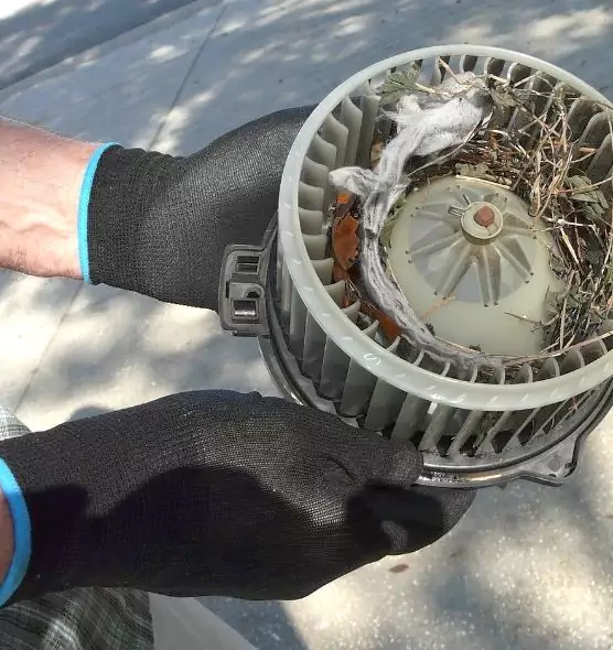 About Air Duct Rat Removal in Culver City, CA