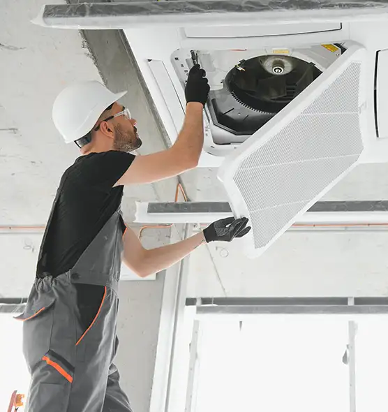 About Air Duct Rodent Removal in Culver City, CA