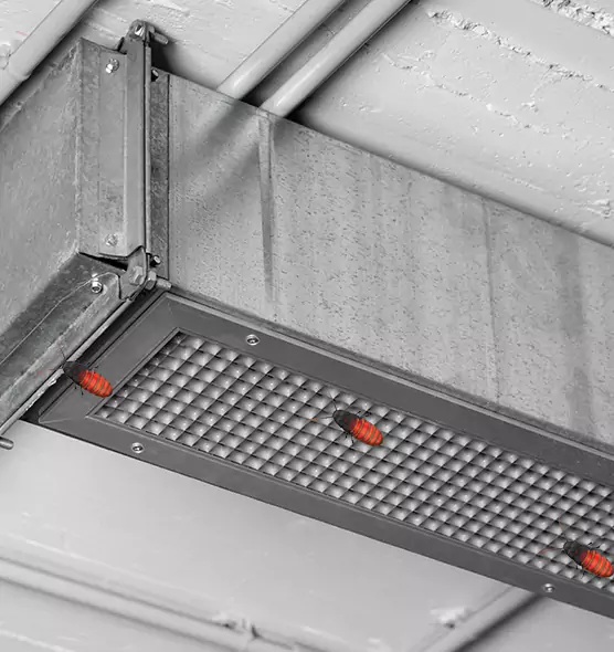 Affordable Insect Removal from Air Ducts in Culver City, CA