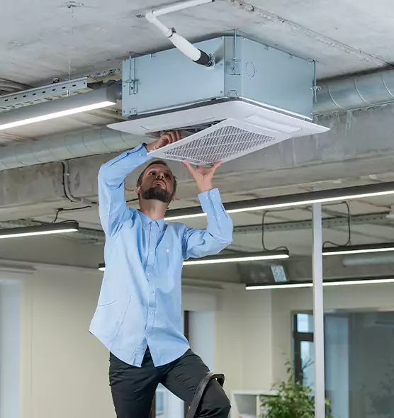 Advanced Rodent Droppings In Vents in Culver City, CA