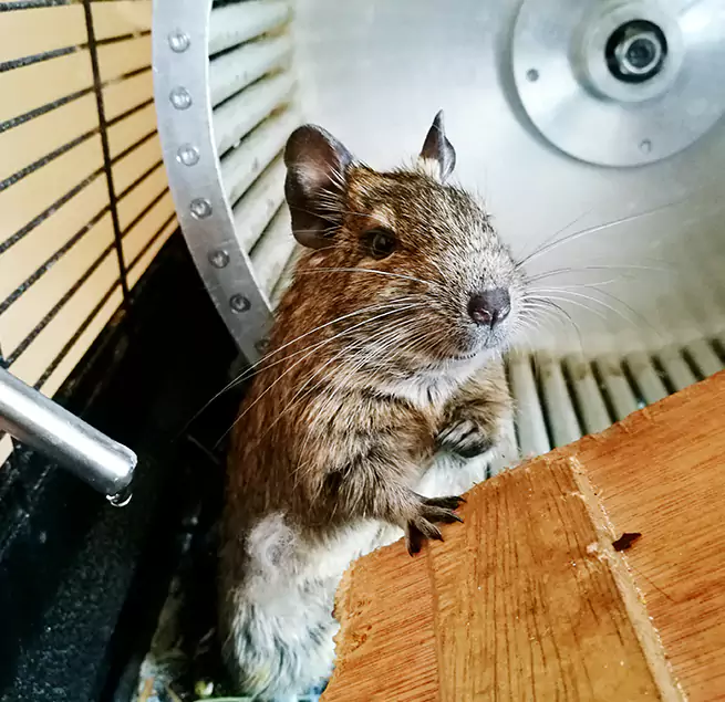 Why Homeowners & Businesses Trust Us Culver City, CA