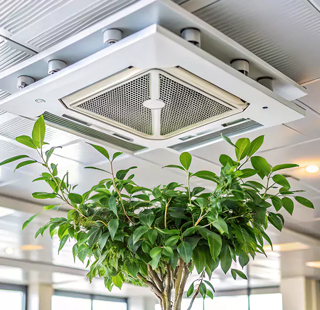 Why Homeowners & Businesses Trust Us in Culver City, CA